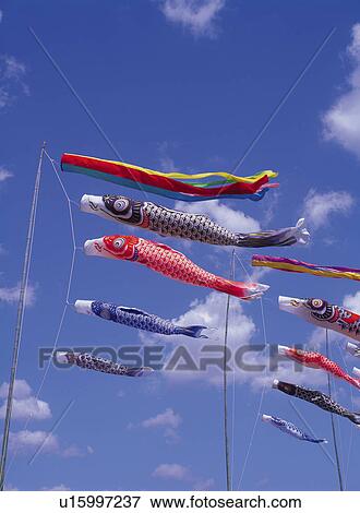 Stock Photo -  Several Colorful Carp Streamers Under a Blue Sky, Low Angle View. Fotosearch