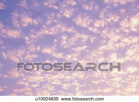 Stock Photo -  Several Fleecy Clouds, a Little Bit Pink From the Sun, Low Angle View. Fotosearch