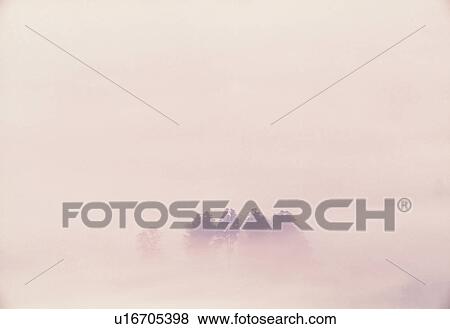 Stock Photo -  Several Trees Surrounded By a Lot of Fog, Front View, Copy Space, Soft Focus. Fotosearch