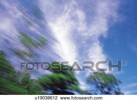 Several Trees Under a Blue Sky, Low Angle View, Blurred Motion View Large Photo Image Stock Image - Several Trees Under a Blue Sky, Low Angle View, Blurred Motion. Fotosearch