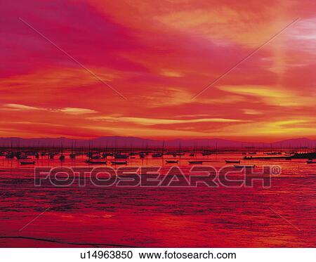 Stock Image -  the Sea and the Sky, Reflecting the Color of the Sun by Sunset, Front View, Toned Image. Fotosearch