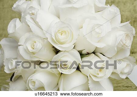 Stock Image - Bunch of white roses (close-up). Fotosearch