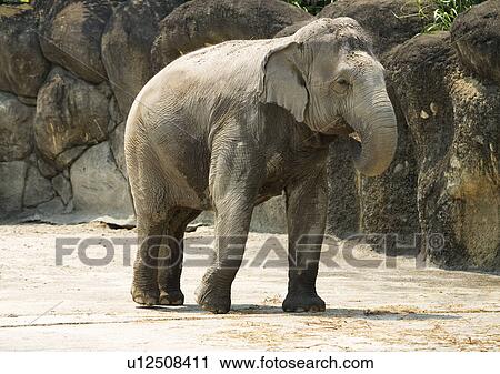 Stock Image - confined, confinement, attitude. Fotosearch