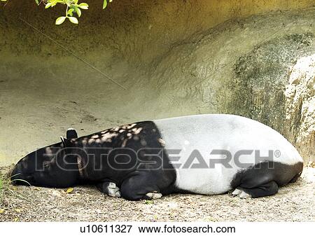 Stock Photo - confined, confinement, attitude. Fotosearch