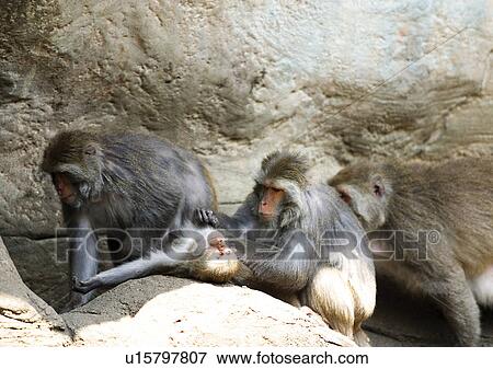 Stock Photo - confined, confinement, attitude. Fotosearch