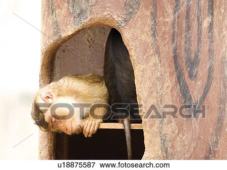 Stock Photo - confined, confinement, attitude. Fotosearch