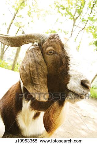 Stock Photography - confined, confinement, attitude. Fotosearch