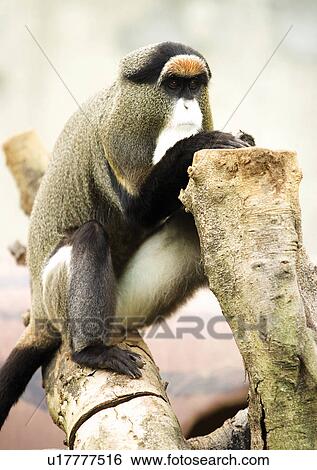wilderness, attitude View Large Photo Image Stock Photograph - wilderness, attitude. Fotosearch