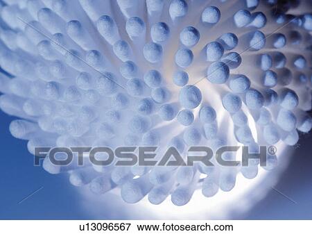 beautification, beauty product, beauty, accessories View Large Photo Image Stock Photo - beautification, beauty product, beauty, accessories. Fotosearch