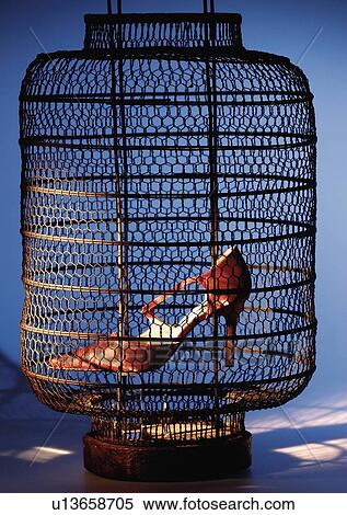 cage, culture, close-up, accessories View Large Photo Image Stock Photography - cage, culture, close-up, accessories. Fotosearch