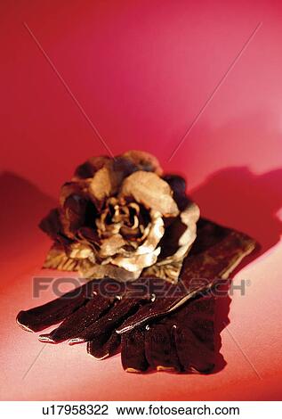 Stock Image - close-up, still life, beauty, her things. Fotosearch