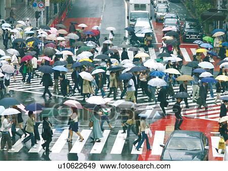 Car, Casual Clothing, Commuter, Crossing, Crosswalk View Large Photo Image Stock Photo - Car, Casual Clothing, Commuter, Crossing, Crosswalk. Fotosearch