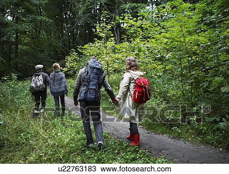 Four People Hiking in Forest View Large Photo Image Stock Image - Four People Hiking in Forest. Fotosearch