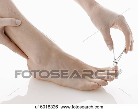 Woman cutting toenails (close-up) View Large Photo Image Stock Photograph - Woman cutting toenails (close-up). Fotosearch