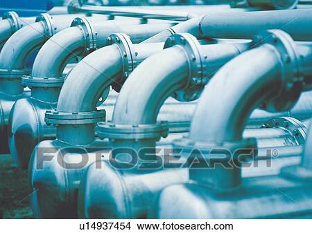 Picture - Close-Up, Day, Full Frame, Large Group Of Objects. Fotosearch