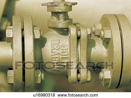 Stock Photo - Close-Up, Day, Outdoor. Fotosearch