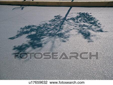 Stock Image - Day, One Object, Outdoor. Fotosearch