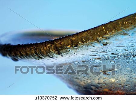 background, bubble, close-up View Large Photo Image Stock Image - background, bubble, close-up. Fotosearch