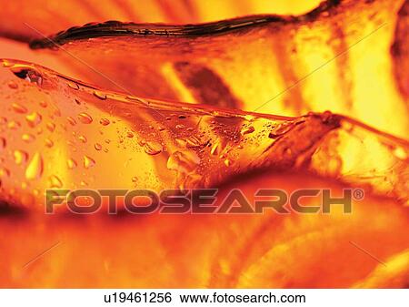 Stock Photograph - bright, close-up, dew. Fotosearch