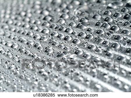 Stock Photography - b/w, black and white, close-up. Fotosearch