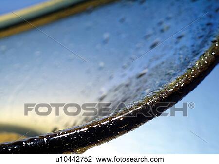 Stock Image - close-up, cold, dew. Fotosearch