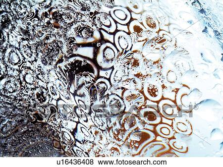 close-up, design, dew View Large Photo Image Stock Photo - close-up, design, dew. Fotosearch