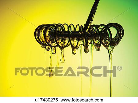 close-up, dew, dripping View Large Photo Image Stock Photography - close-up, dew, dripping. Fotosearch