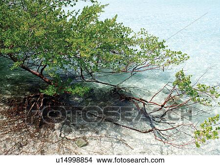 Outdoor, Beach, Day View Large Photo Image Picture - Outdoor, Beach, Day. Fotosearch