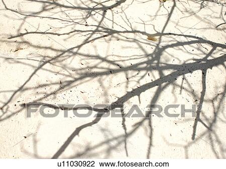 Outdoor, Beach, Day View Large Photo Image Stock Image - Outdoor, Beach, Day. Fotosearch