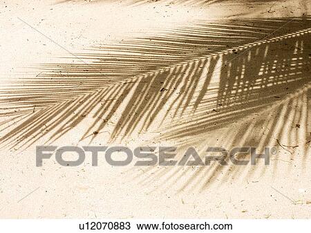 Stock Image - Outdoor, Beach, Day. Fotosearch