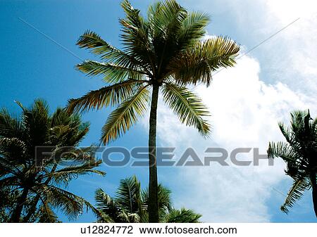 Outdoor, Beach, Day View Large Photo Image Stock Image - Outdoor, Beach, Day. Fotosearch
