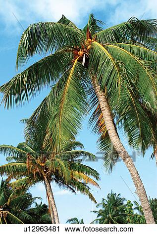 Outdoor, Beach, Day View Large Photo Image Stock Image - Outdoor, Beach, Day. Fotosearch