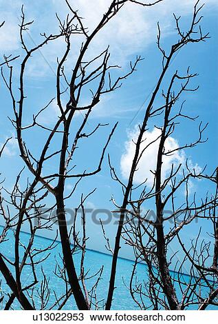 Outdoor, Beach, Day View Large Photo Image Stock Image - Outdoor, Beach, Day. Fotosearch