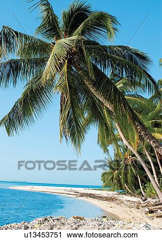 Stock Image - Outdoor, Beach, Day. Fotosearch
