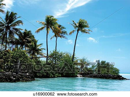 Stock Image - Outdoor, Beach, Day. Fotosearch