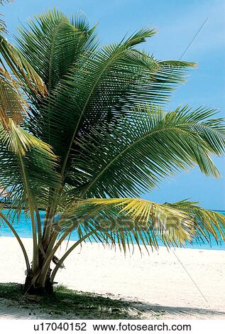 Stock Image - Outdoor, Beach, Day. Fotosearch
