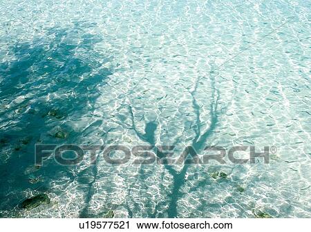 Stock Image - Outdoor, Beach, Day. Fotosearch