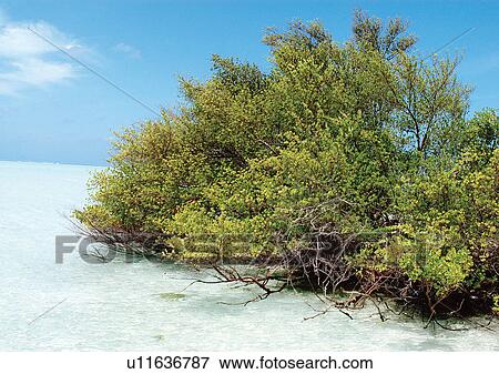 Outdoor, Beach, Day View Large Photo Image Stock Photo - Outdoor, Beach, Day. Fotosearch
