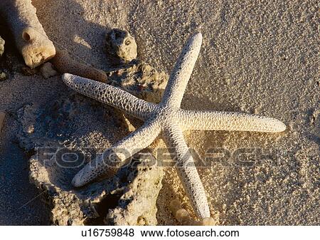 Outdoor, Beach, Day View Large Photo Image Stock Photo - Outdoor, Beach, Day. Fotosearch