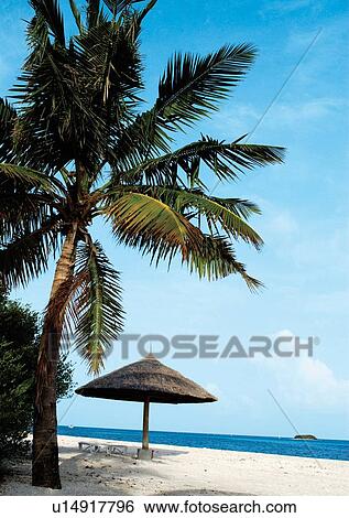 Outdoor, Beach, Day View Large Photo Image Stock Photograph - Outdoor, Beach, Day. Fotosearch