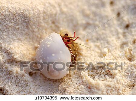 Stock Photography - Outdoor, Day. Fotosearch