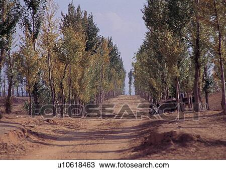 Stock Image - Backgrounds, Day, Outdoor. Fotosearch