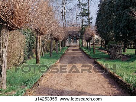 Stock Photograph - Backgrounds, Day. Fotosearch