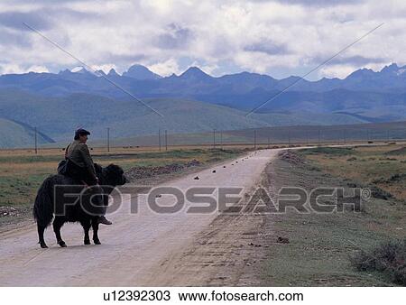 Stock Image - Day, One Animal, One Person, Outdoor. Fotosearch