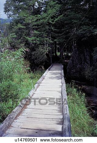 Stock Image - Day, Outdoor, Rural Scene. Fotosearch