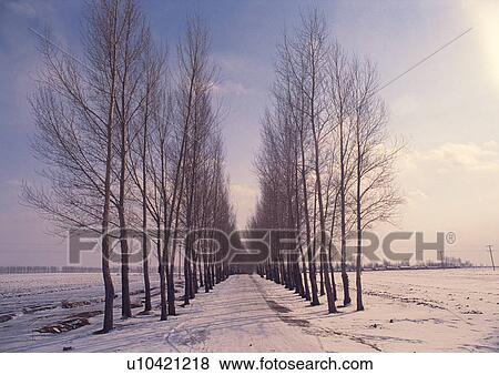 Stock Photo - Day, Outdoor. Fotosearch