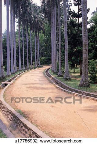 Stock Image - Day, Outdoor, Vanishing Point. Fotosearch