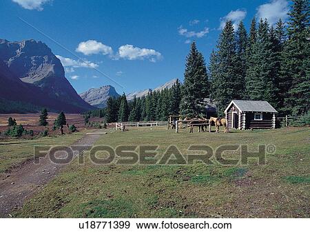 Blue Sky, Building, Building Exterior, Building Structure, Architecture, Cabin View Large Photo Image Stock Photo - Blue Sky, Building, Building Exterior, Building Structure, Architecture, Cabin. Fotosearch