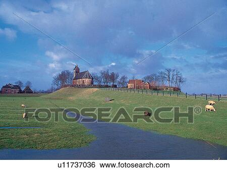 Blue Sky, Building, Building Exterior, Building Structure, Architecture, Cattle View Large Photo Image Stock Photograph - Blue Sky, Building, Building Exterior, Building Structure, Architecture, Cattle. Fotosearch