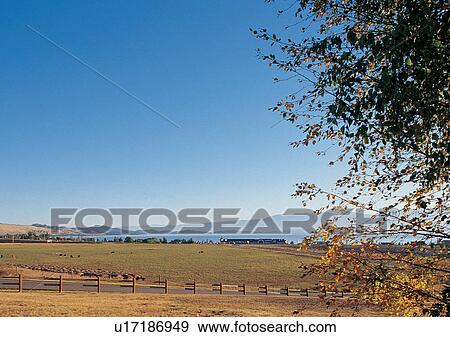 Stock Photo - Blue Sky, Day, Environment, Fence, Field. Fotosearch